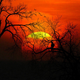 Illustration for article titled Shooting Challenge: Sunrise, Sunset